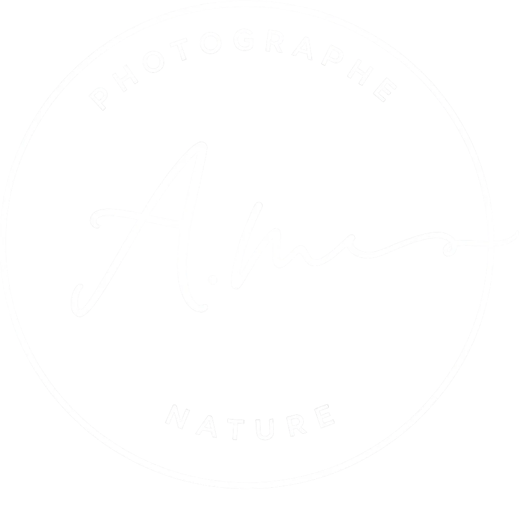 Photographe Nature AM 